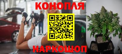 твердый Долгопрудный