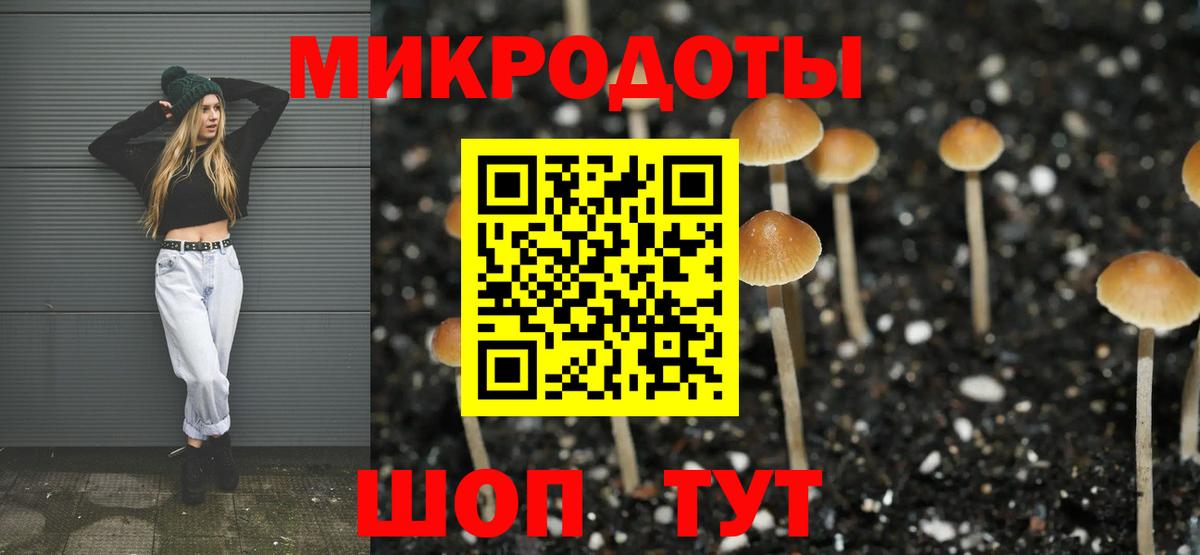 Псилоцибиновые грибы Psilocybine cubensis  Псилоцибиновые грибы GOLDEN TEACHER  Вход с VPN  Гусиноозёрск 